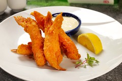 SALMON TORO FIN KARAAGE